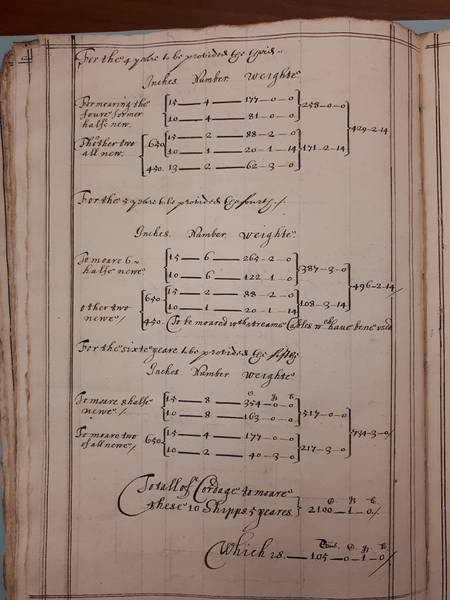 File:20171209 101536.jpg