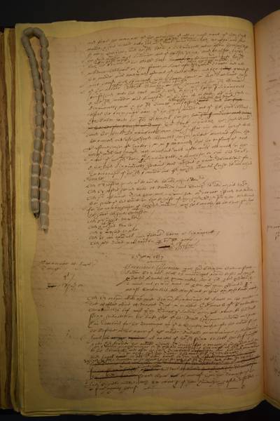 File:DSC 100D3300 0342.jpg