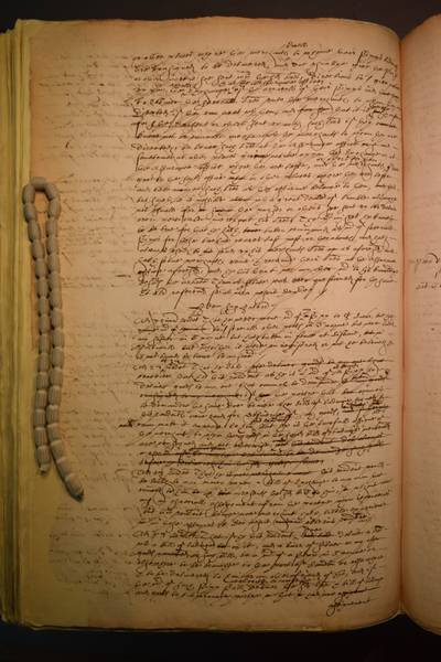 File:DSC 100D3300 0514.jpg