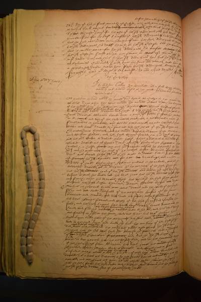 File:DSC 100D3300 0516.jpg