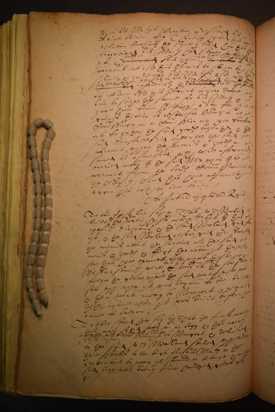 File:DSC 100D3300 0538.jpg