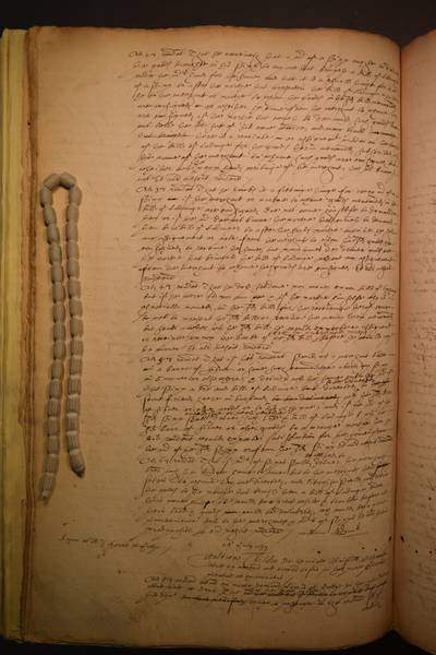 File:DSC 100D3300 0544.jpg