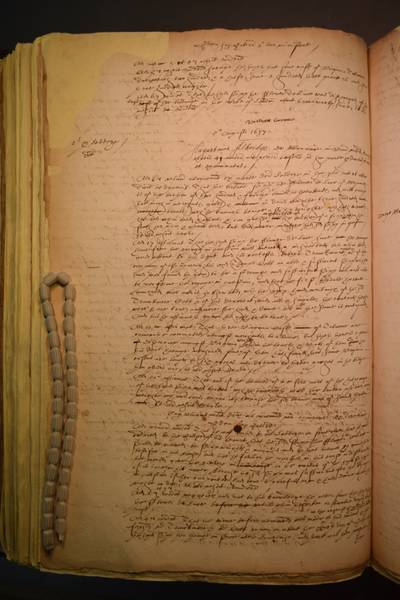 File:DSC 100D3300 0600.jpg